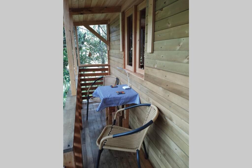 La Casa En El Bosque *