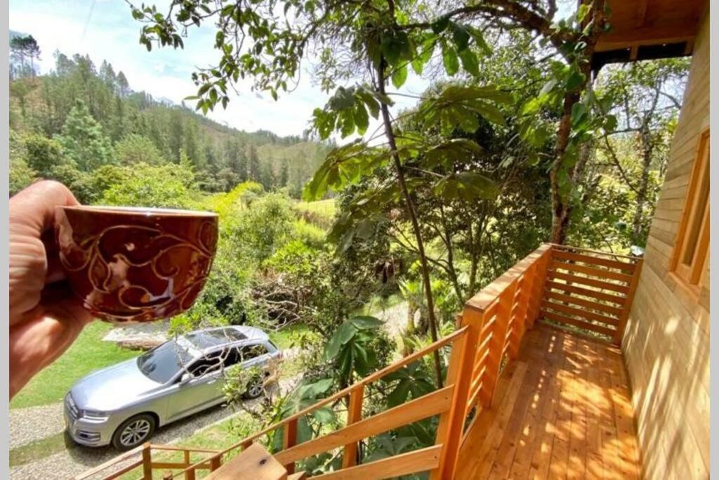 La Casa En El Bosque